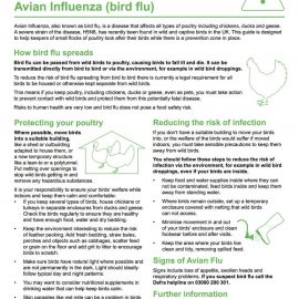 Information leaflet about "How to keep your birds safe from Avian Influenza (bird flu)" from DEFRA