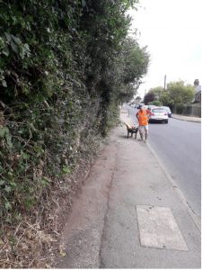 Photo showing the cutting back along Wareham Road