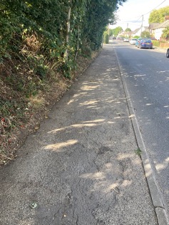 Photo showing the verge clearance on Wareham Road